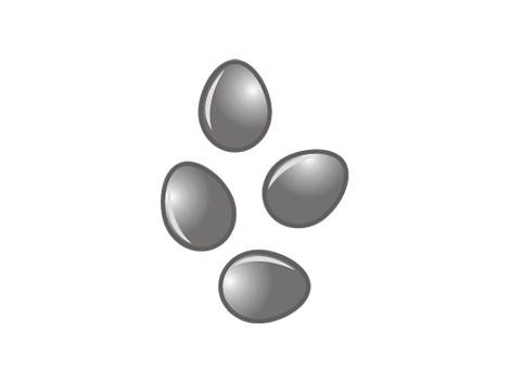 Paralysis Tick