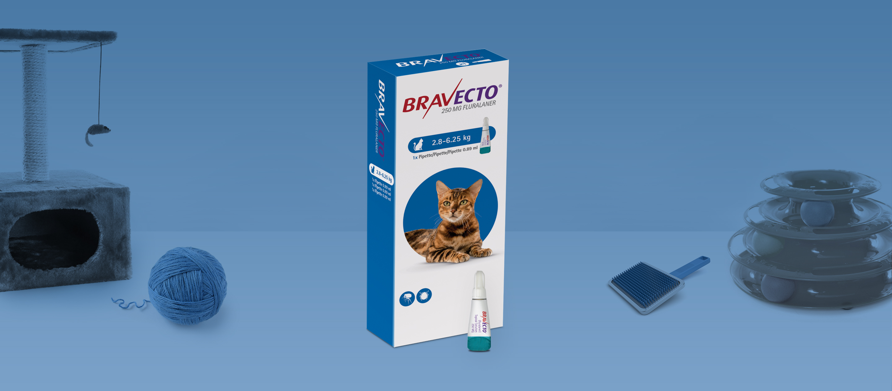 Bravecto Spot On For Cats 2.8 - 6.25 kg