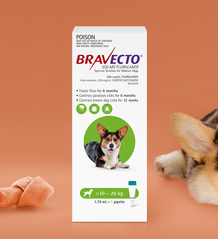 Bravecto Spot On For Dogs