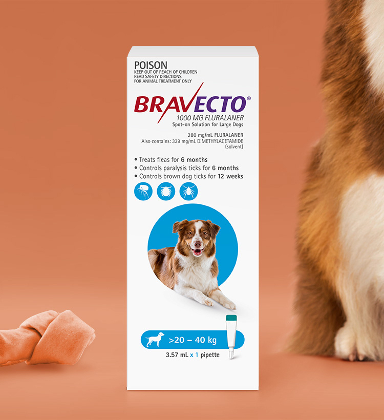 Bravecto Spot On For Dogs