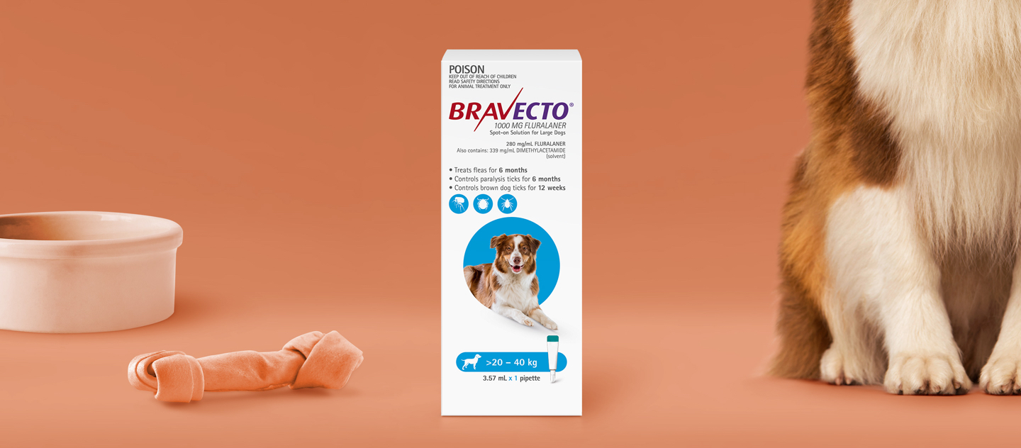 Bravecto Spot On For Dogs