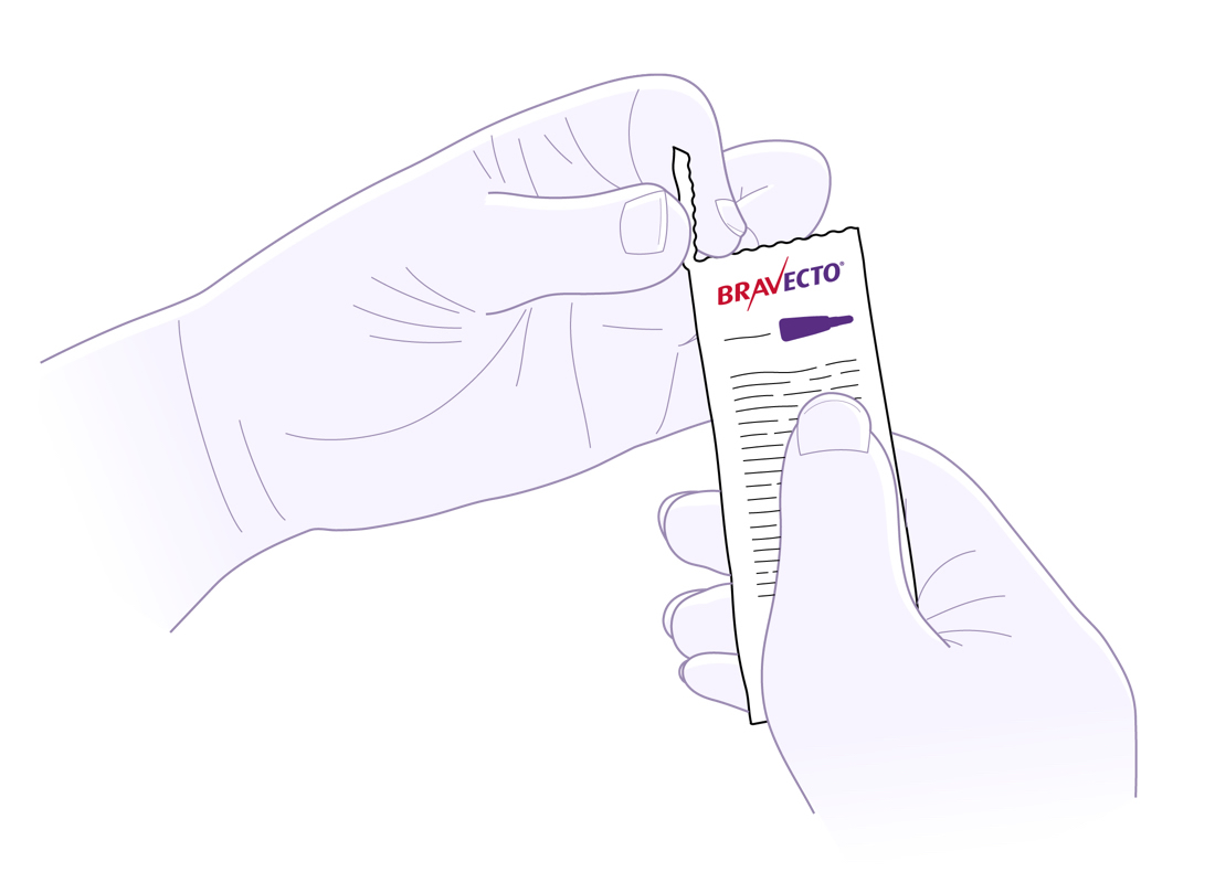 How to use Bravecto Spot-on for Cats