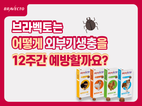 Facts About Fleas
